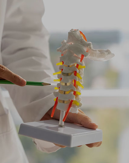 Spine Cord Injury